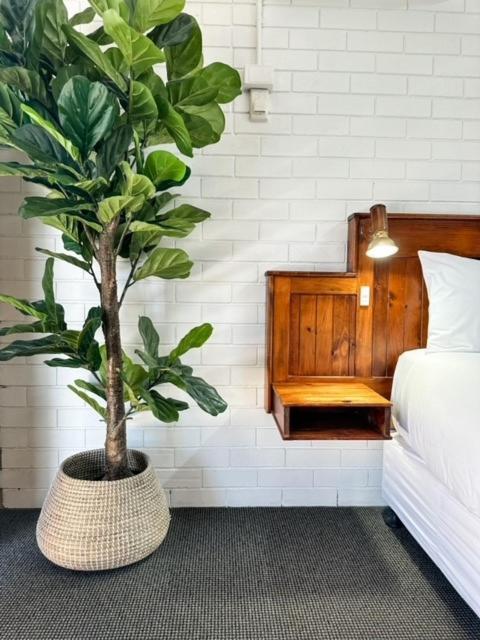 Motel Pacific Sun Bargara Exteriér fotografie